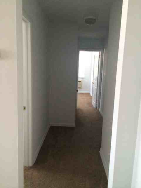 Williamsburg Apartments - Photo 5 of 12