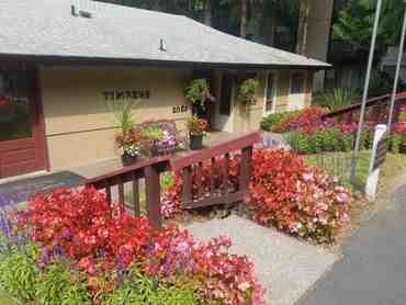 Timbers Apartments 2928 Ruddell Road Southeast, Lacey, WA 98503 Zumper
