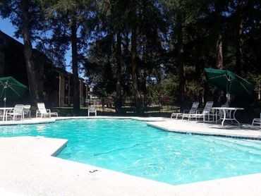 Timbers Apartments 2928 Ruddell Road Southeast, Lacey, WA 98503 Zumper