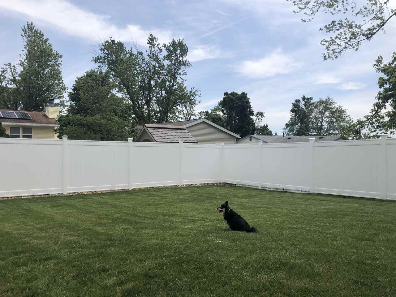 2985 5th St #NA - Photo 3 of 15