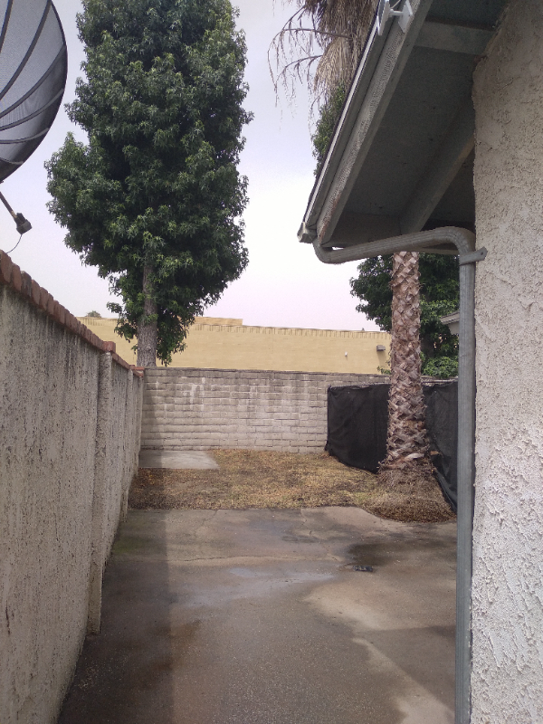 12864 Raintree Ct - Photo 7 of 25