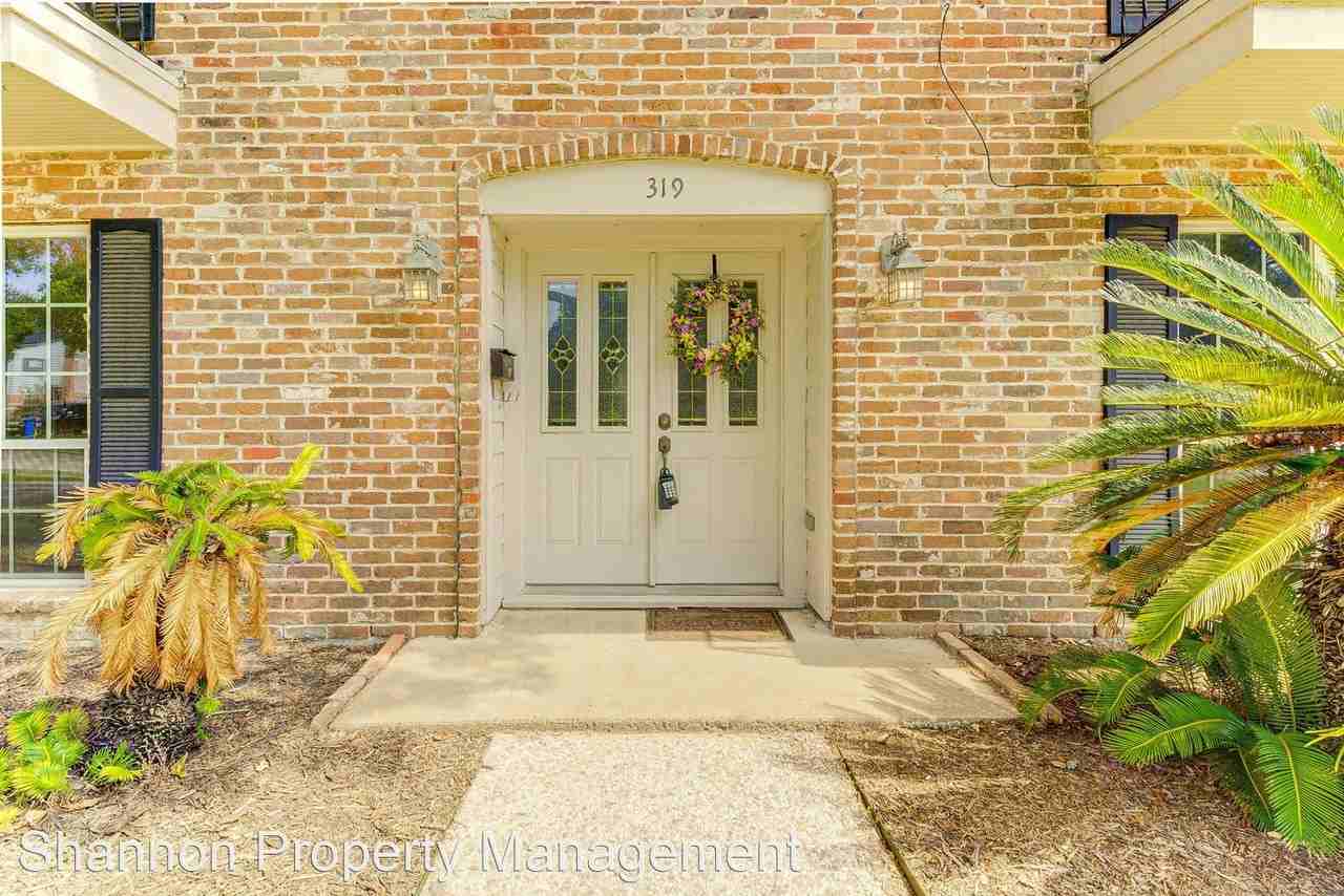 319 Shadow Creek Dr - Photo 3 of 50