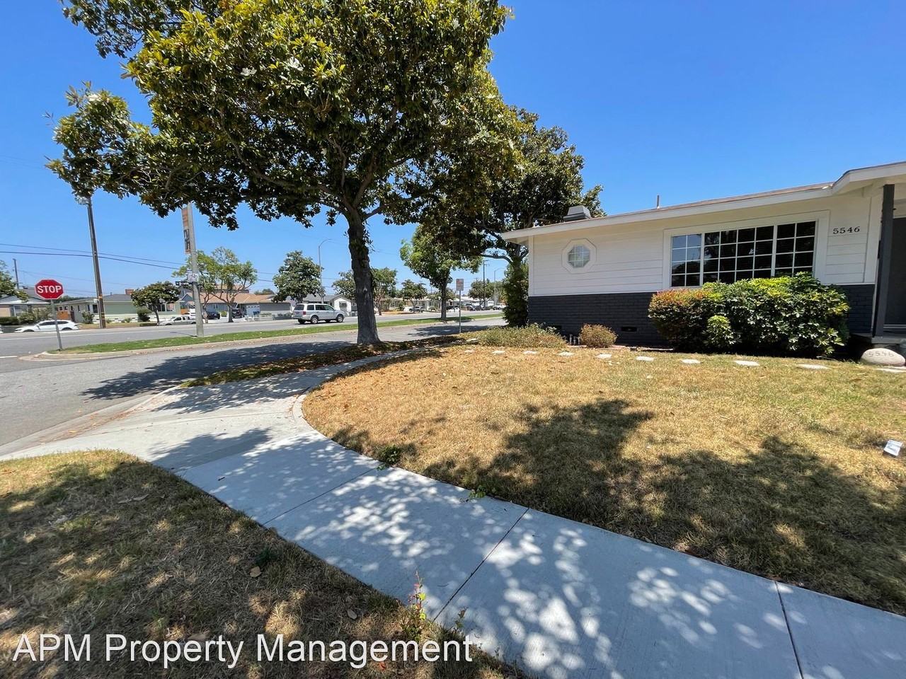 5548 Carfax Ave - Photo 2 of 19