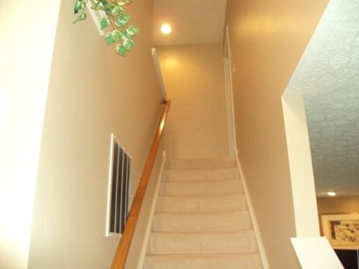 4880 Treeline Dr - Photo 3 of 21