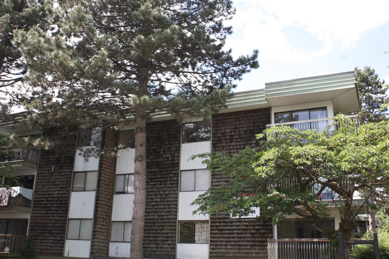 11895 Laity Street - Photo 2 of 18