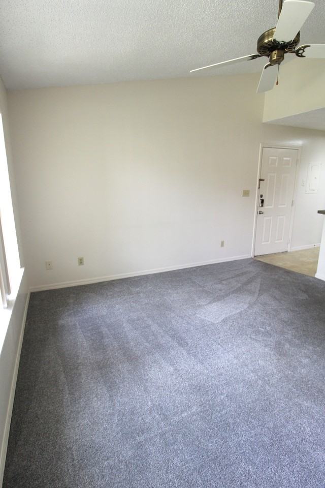 4001 Crockers Lake Blvd #1023 - Photo 4 of 14