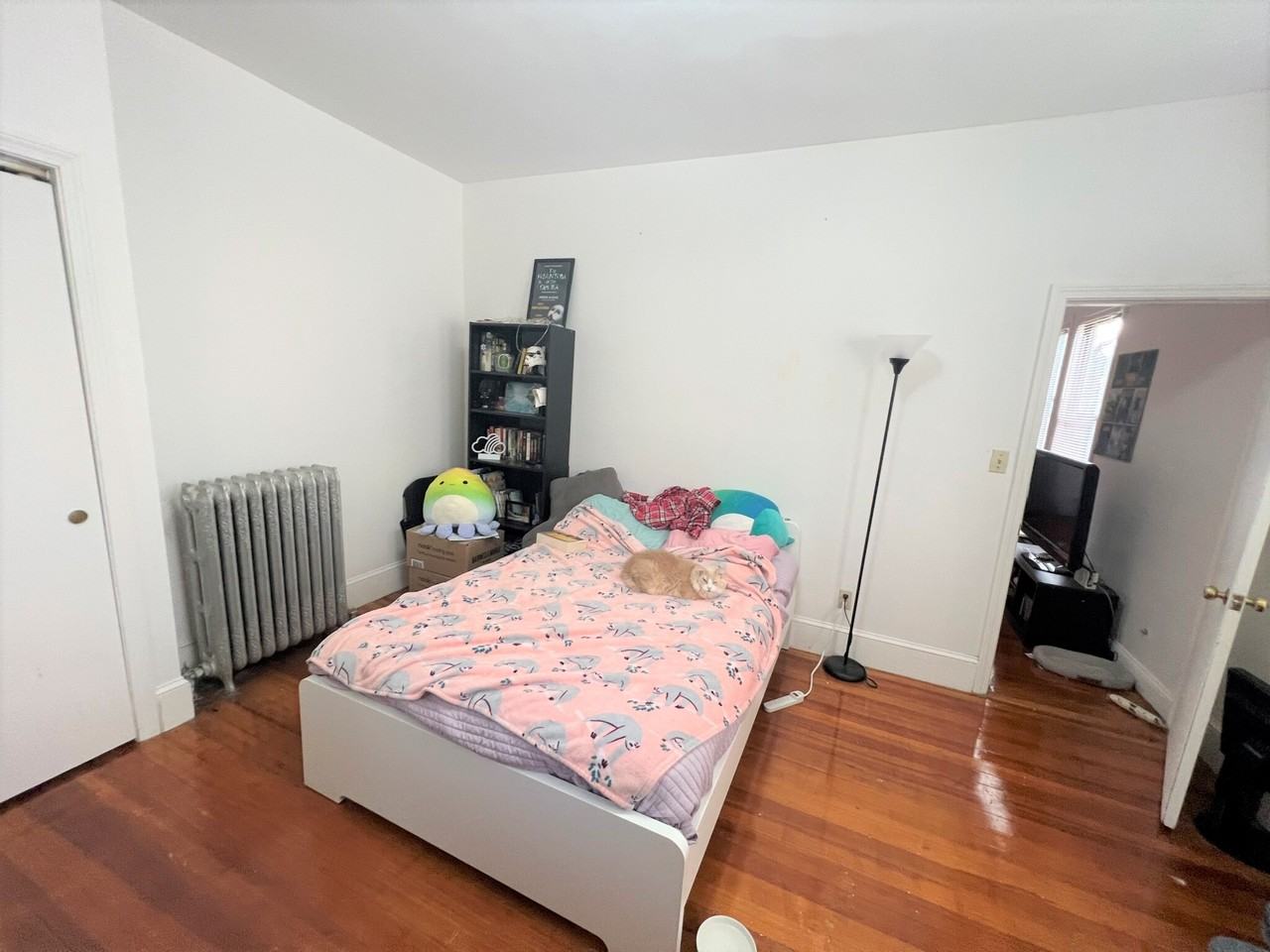 163 Strathmore Rd #3 - Photo 7 of 11