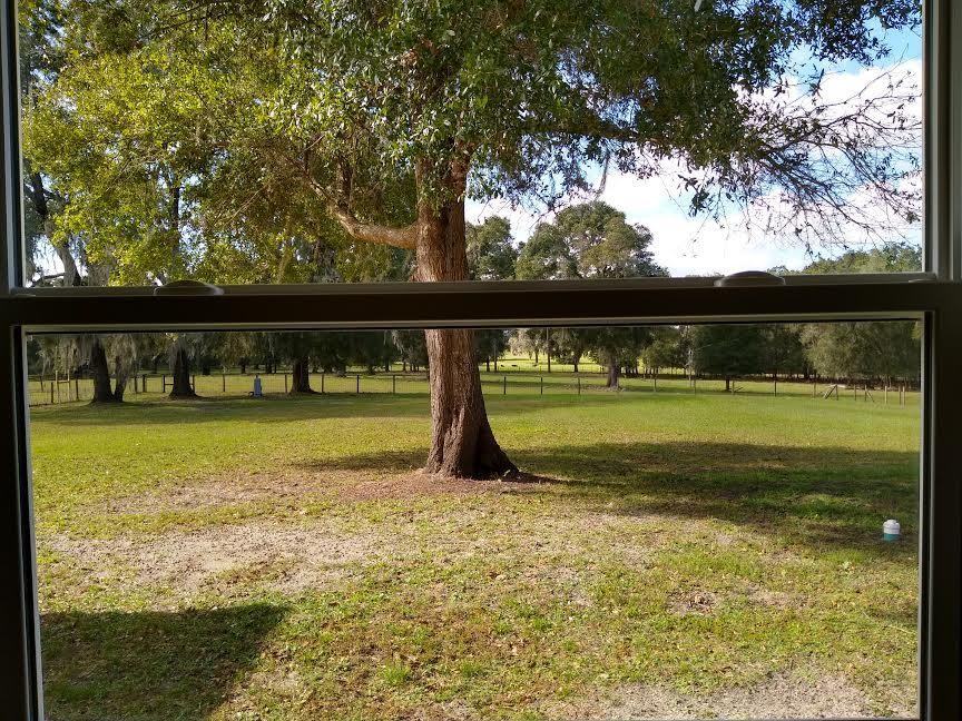 4210 Southwest 89th Avenue - Photo 7 of 20