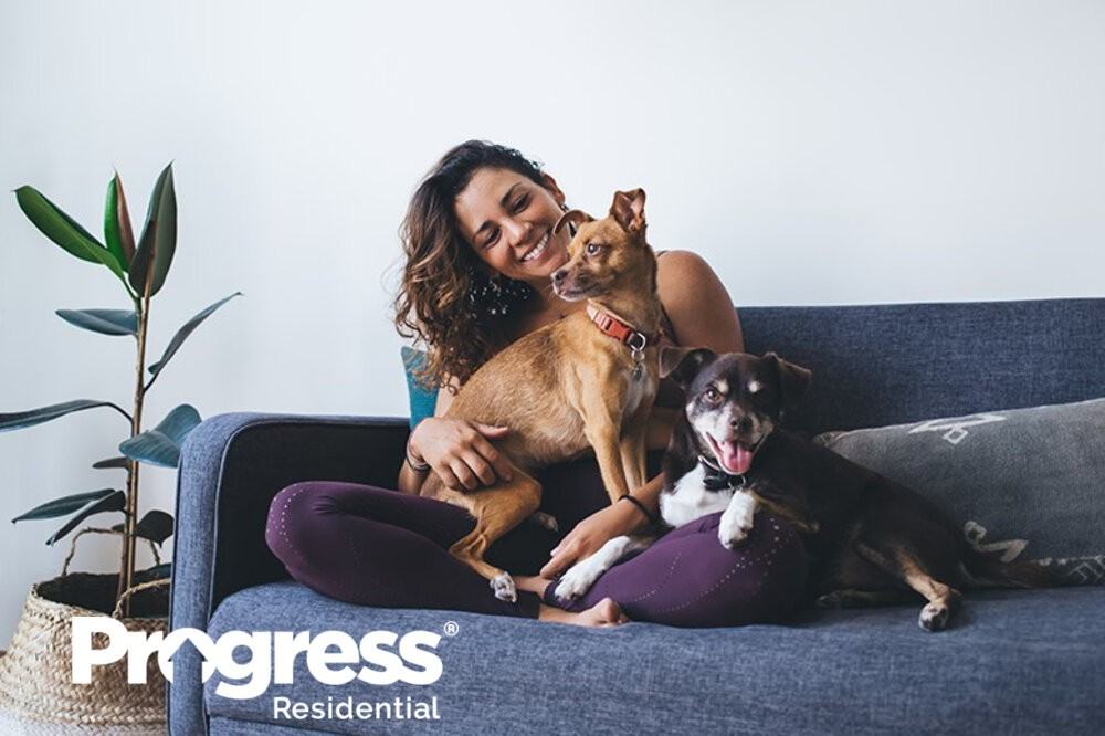 3098 Pinnacle Park Dr - Photo 3 of 5