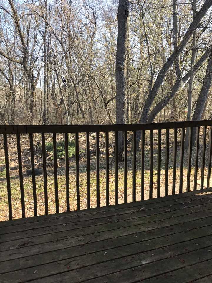 220 S Holly Ave - Photo 3 of 5