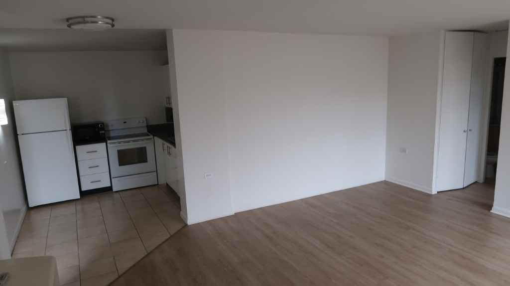 55 W Chestnut St #307 - Photo 6 of 20