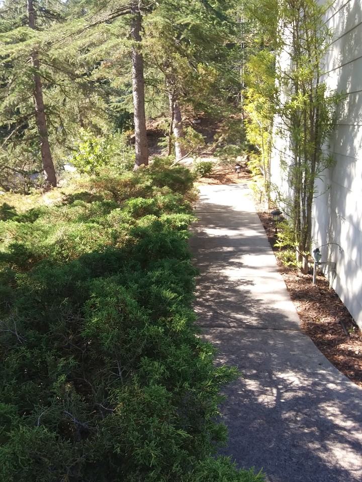 961 Blueberry Ct - Photo 3 of 14