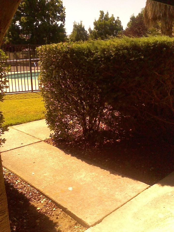 1649 Alamo Dr - Photo 3 of 23