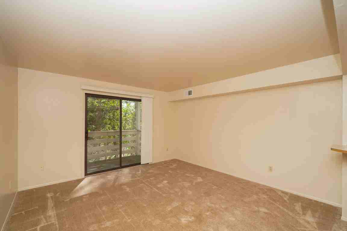 Canal Club Apartments - Photo 7 of 40