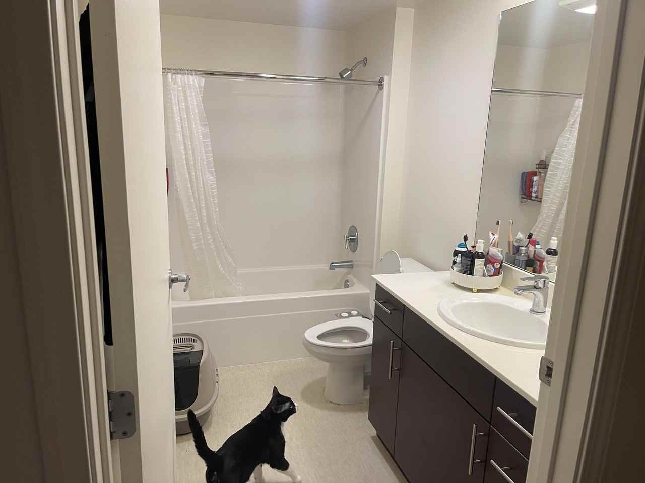 1915 2nd Avenue #705 - Photo 3 of 17