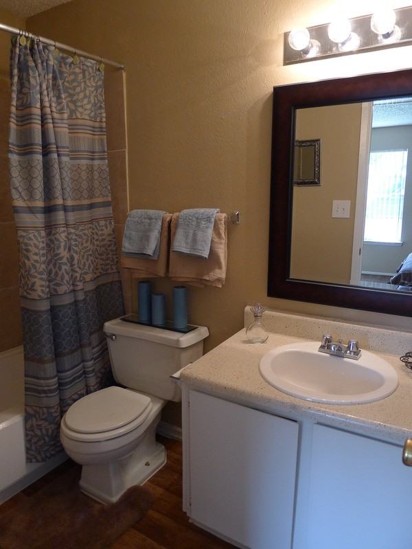 Misty Hollow - Photo 6 of 24