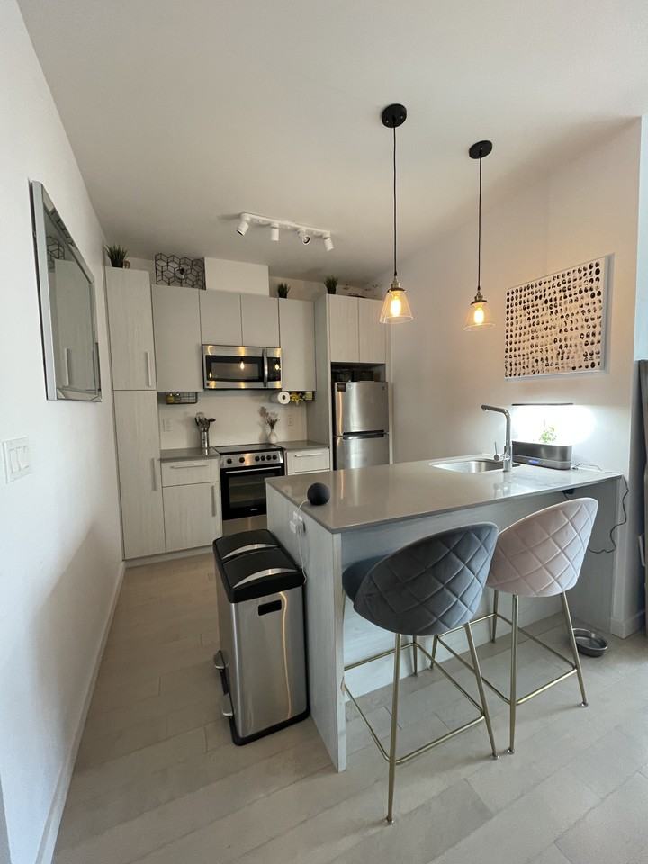 740 32e Av - Photo 3 of 13