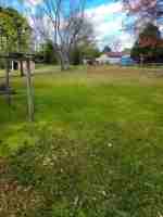 featured image of Meadows Dr