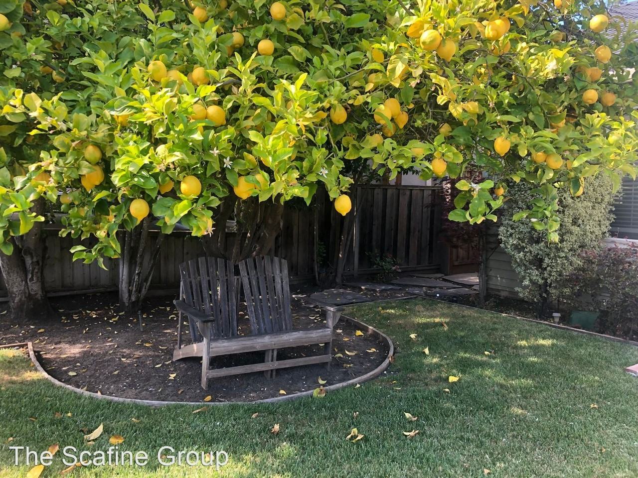 407 Alameda De Las Pulgas - Photo 3 of 21