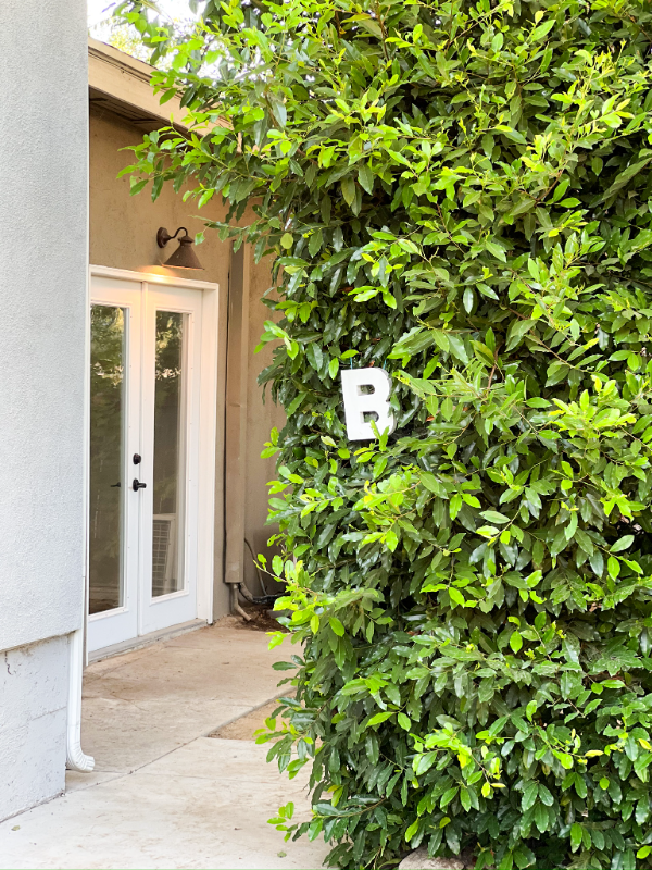 1529 N Edison Blvd #B - Photo 2 of 16
