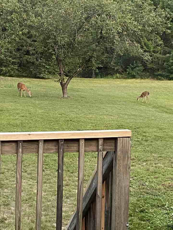 546 Chick Crossing Rd #TOP - Photo 2 of 16