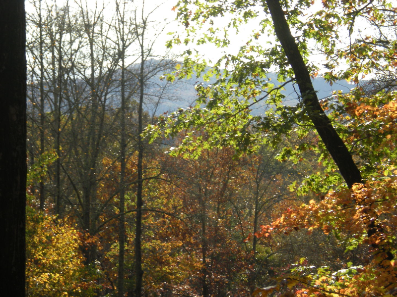 4 Granny Hughes Rd - Photo 7 of 30