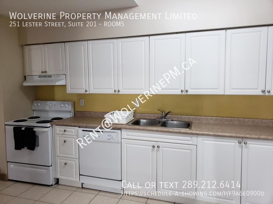 251 Lester Street #5 - Photo 3 of 13