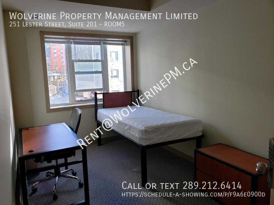 251 Lester Street #5 - Photo 5 of 13