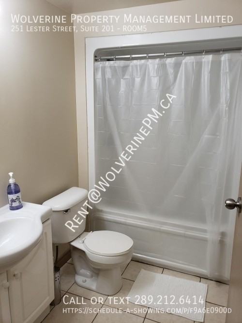 251 Lester Street #5 - Photo 7 of 13