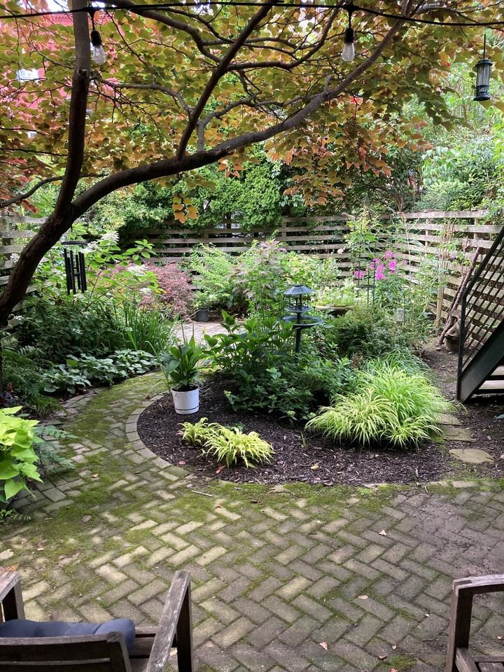 157 Rutland Rd #1 - Photo 2 of 5