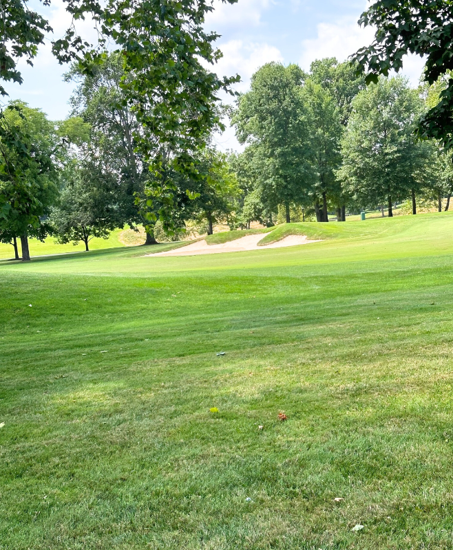 8506 Cheltenham Cir - Photo 2 of 38