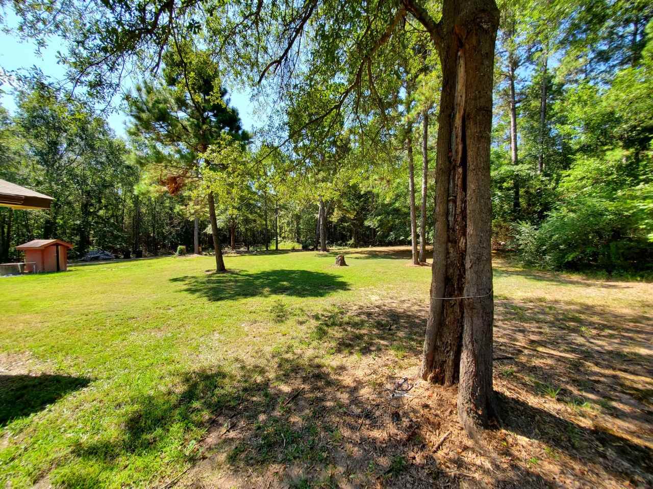 1193 County Road 3514 - Photo 7 of 12