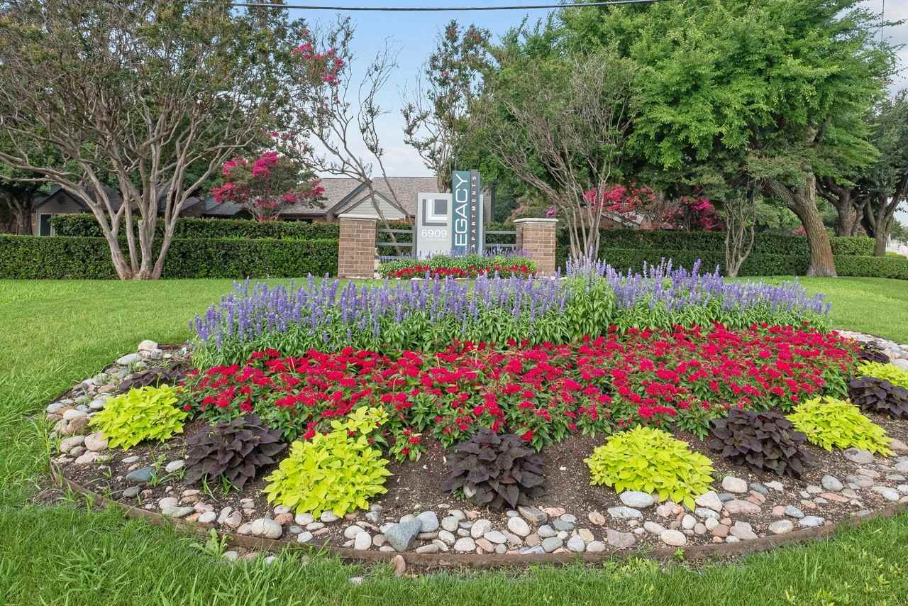 Legacy - Photo 4 of 50