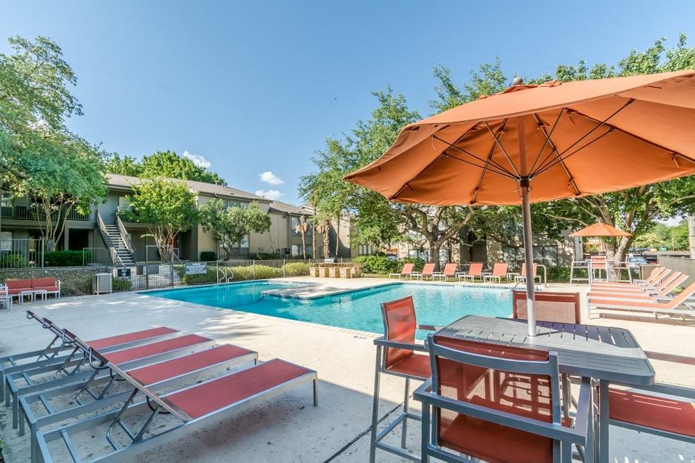 The Colony - Photo 6 of 31