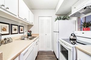 featured image of 3701 Fountain Mist Dr