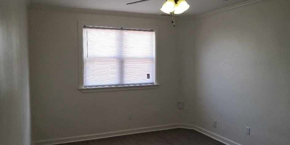 7225 Haverford Ave #1F - Photo 4 of 9