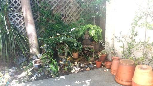 1515 Henry St - Photo 2 of 16