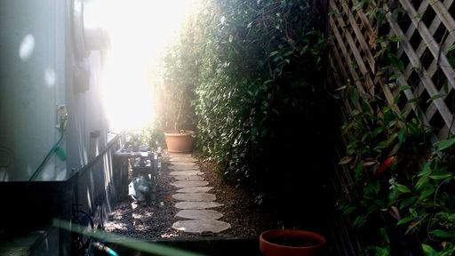 1515 Henry St - Photo 3 of 16