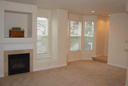 2400 Snowberry Ridge Ct - Photo 3 of 14