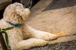 4730 California Ave Sw - Photo 1 of 1