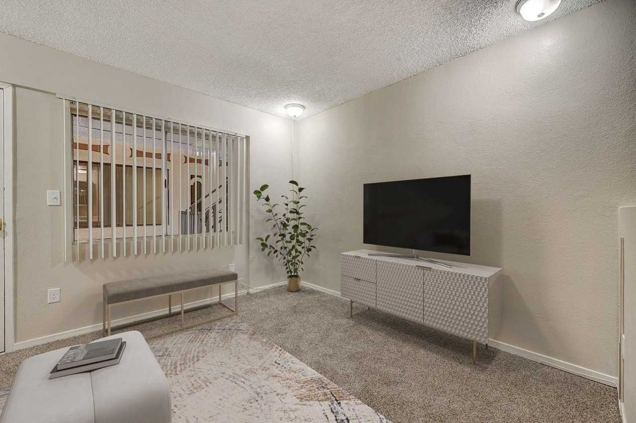 Paradise Royale - Photo 5 of 50