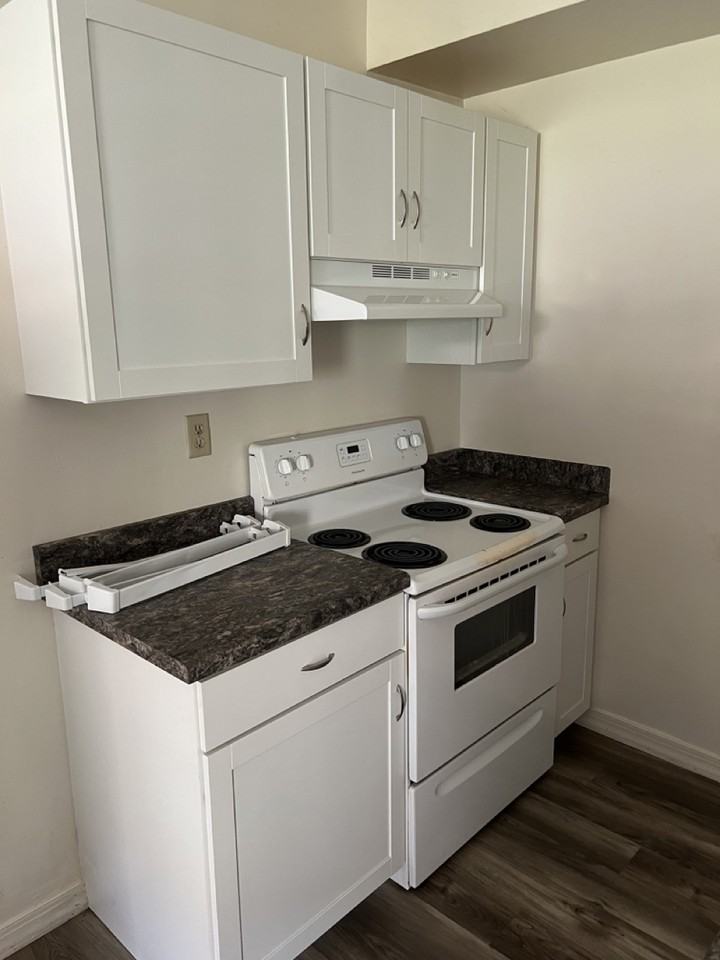 147 Locust St #5 - Photo 5 of 16