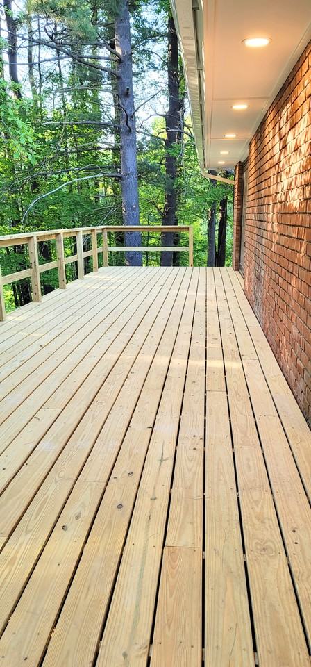 445 Elm Avenue - Photo 2 of 15