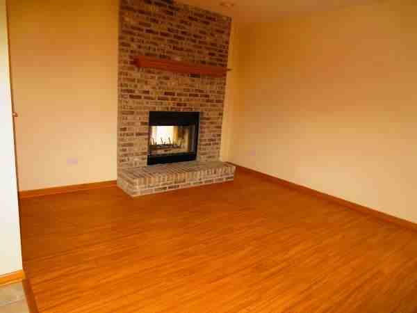 419 Glen Mor Dr - Photo 3 of 18