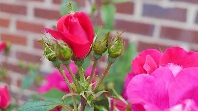 226 Crestside Dr #NA - Photo 3 of 14