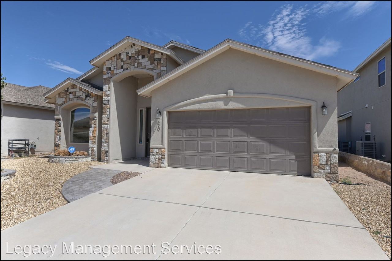 529 Ginger Francis Ln - Photo 3 of 50