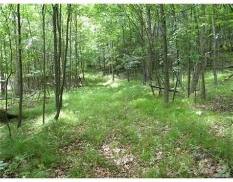 18250 Timber Lake Rd - Photo 3 of 4