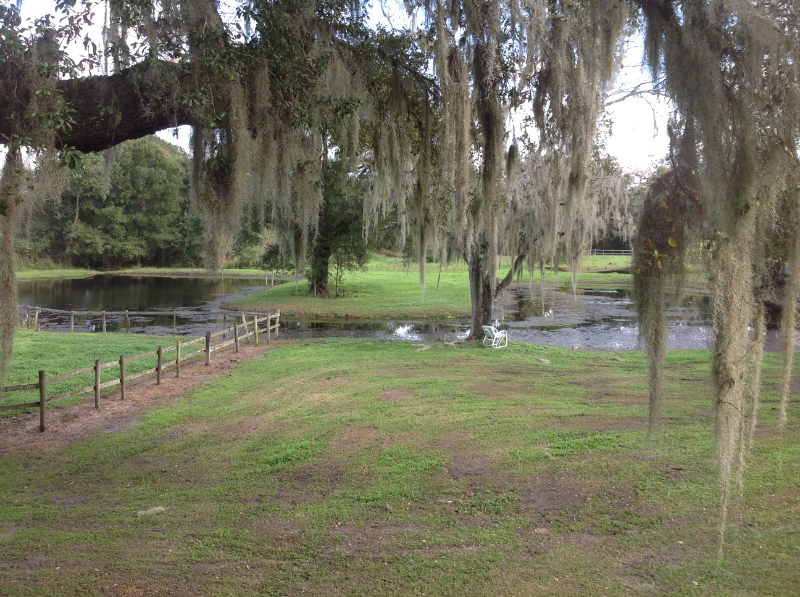 1980 Lake Hires Rd - Photo 2 of 2