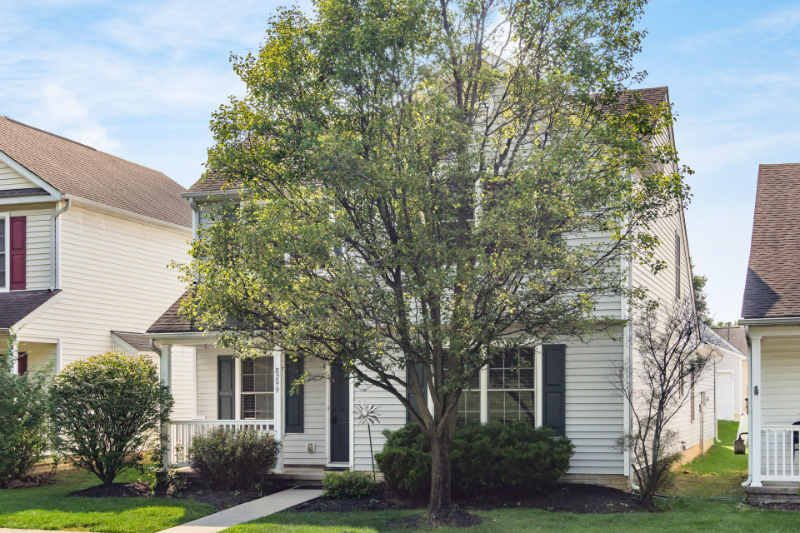 8299 Sirius St - Photo 3 of 39