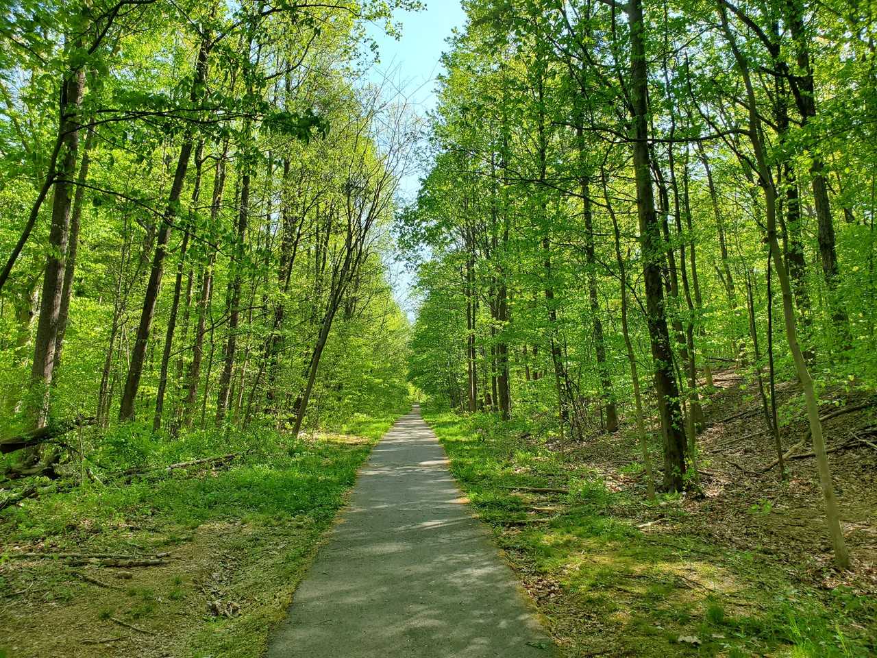 5730 Evergreen Knoll Ct #MAIN - Photo 2 of 14